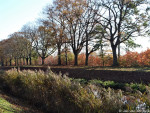 Kanaal Almelo Nordhorn
